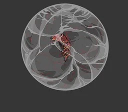 Refracted Butterfly of Entangled Lives::The Pupa
